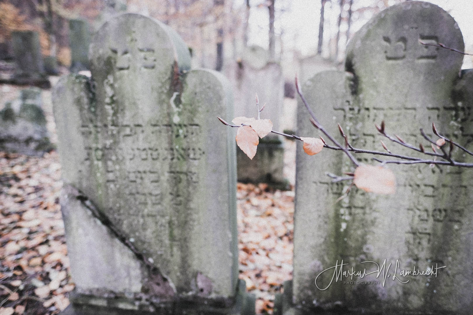 Dransfeld, Jüdischer Friedhof